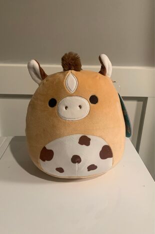 doseofsquish's tweet image. ♡ Champ the Horse ♡