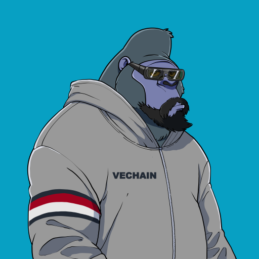 DEEvCrypto's tweet photo. @VenonymousV #MVA #VeKings #Vvardogs #NPO #VeChainHasNFTs https://t.co/YgxktrBVZP