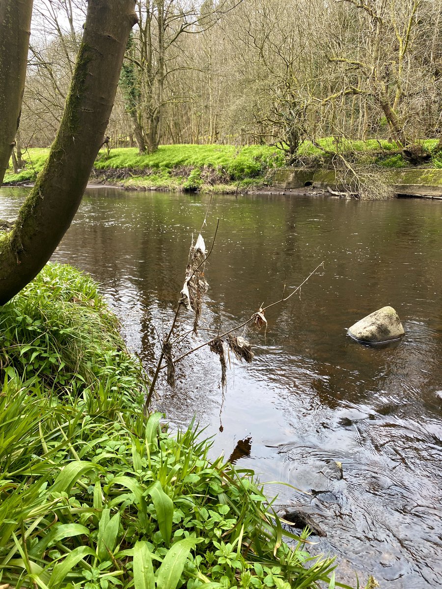 waterscientist's tweet photo. Got out to visit my PhD study site along the #RiverAlmond. Looking forward to getting started on improving #waterquality monitoring https://t.co/nT73Llf9jC