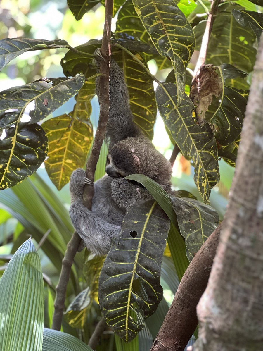 Lindsaayt26's tweet photo. #puravida https://t.co/sw7O3I4V9C