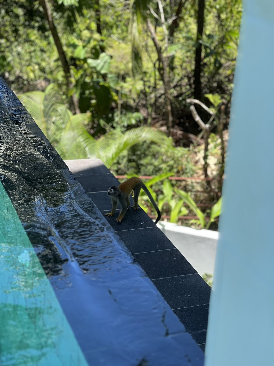 Lindsaayt26's tweet photo. #puravida https://t.co/sw7O3I4V9C