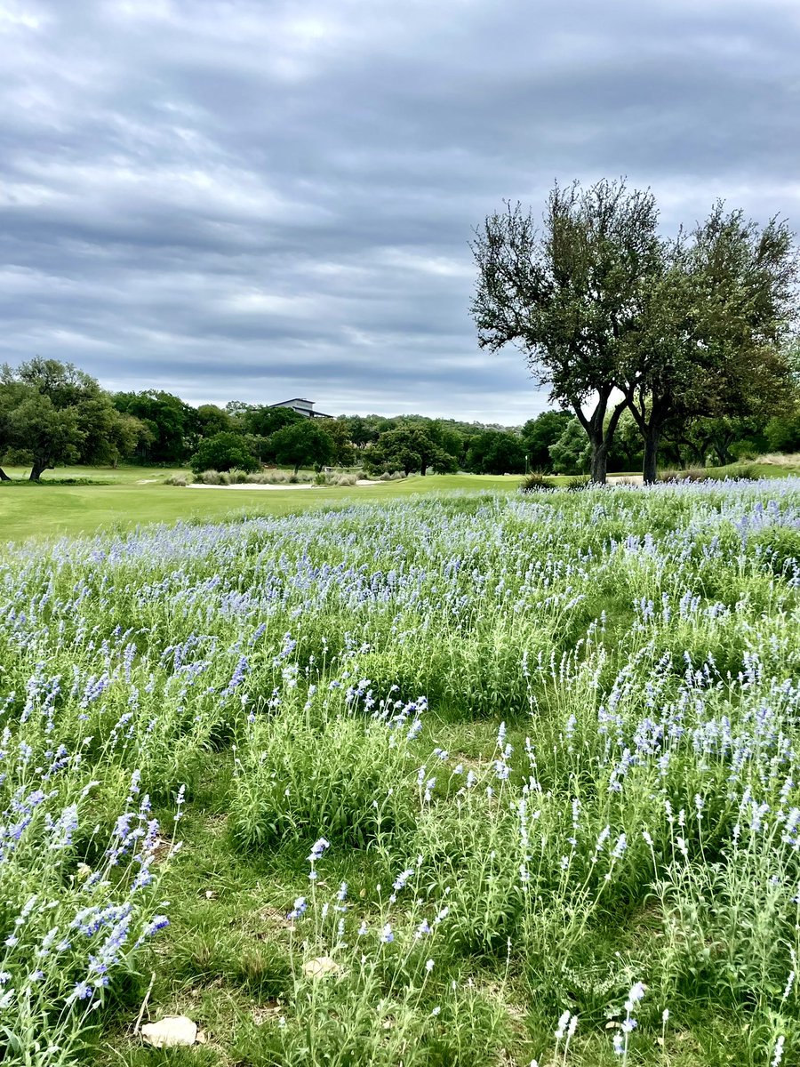 Springtime bloom at the Ranch 💐 ⛳️ #spring #aprilshowers #golf