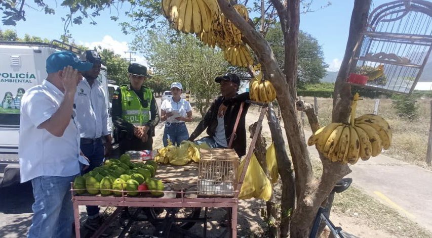 Corpocesar's tweet image. Seguimos trabajando junto a @PoliciaDeCesar y el Centro de Atención y Valoración de Fauna y Flora Silvestre CAVFFS por una #SemanaSanta en paz con nuestra naturaleza, conoce los resultados de nuestros operativos 🦎🌿🌳🐢

Lee la nota completa 👉🏻 facebook.com/10008696189237…
