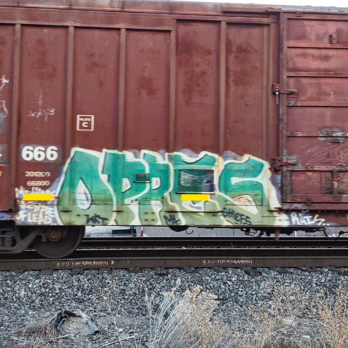 GraffitiExpress's tweet image. opres
#kamloops  #train #graffiti #art 
#opres