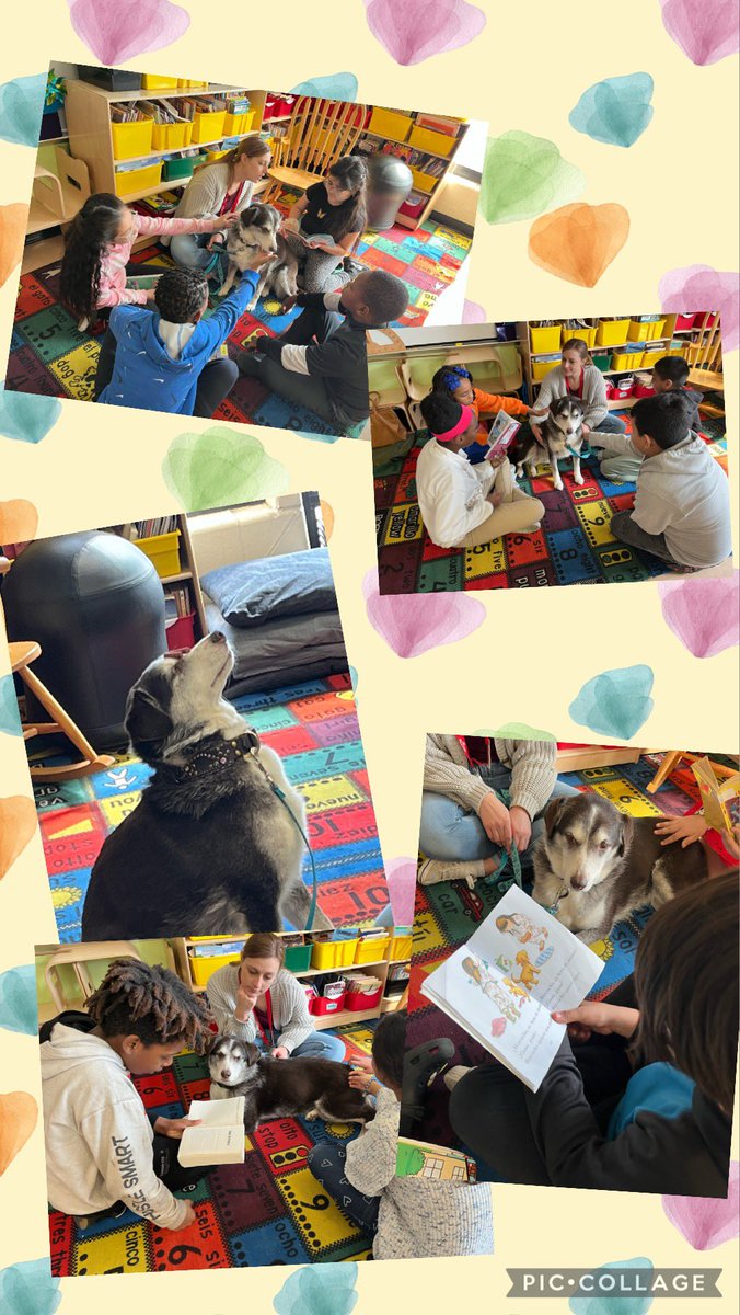 meverist's tweet image. On Wednesdays @KCPS_Rogers we #STOPandREAD Today we had a special guest 🐾 from @WaysideWaifs The students took turns reading to Bliss &amp;amp; getting some puppy love! Bliss even listened to the book Biscuit in Spanish! @kcpublicschools  Books, Bliss &amp;amp; treats… a wonderful Wednesday