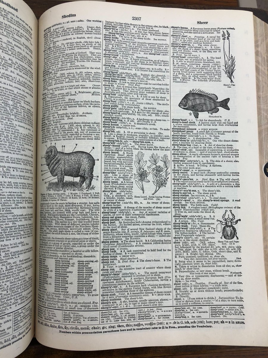 Merriam-Webster tweet media