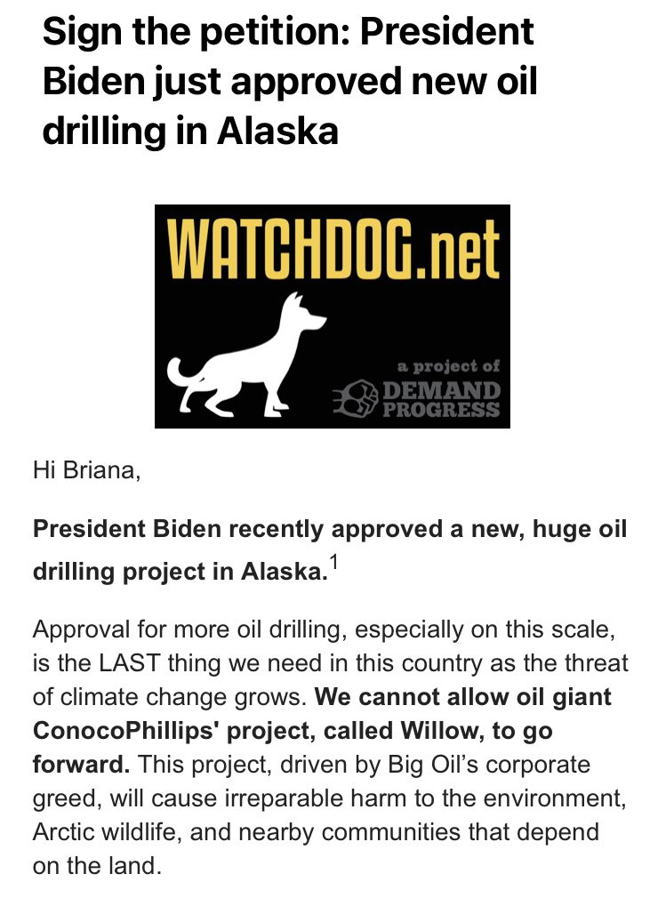 brianasj_'s tweet image. Meanwhile Joe Biden is out here approving more oil drilling in Alaska but watch this when the summer heat and wildfire season is at its peak the Democrats will be out here pointing fingers. #stopwillowproject @POTUS @JoeBiden