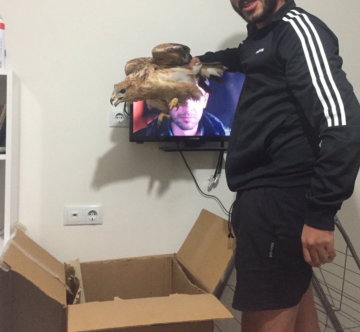 Benim manita da şahin bulup evde beslemişti