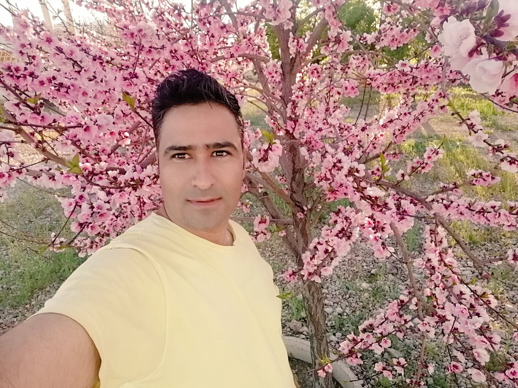 بهاری باشید عزیزان