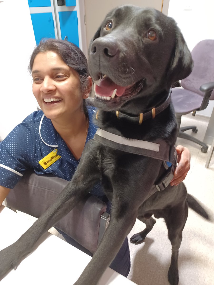 PD’s Dexter & Mika - MPS Welfare & Trauma Dogs tweet media