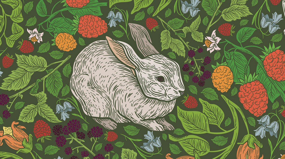 To all who celebrate we wish you a Happy Easter!