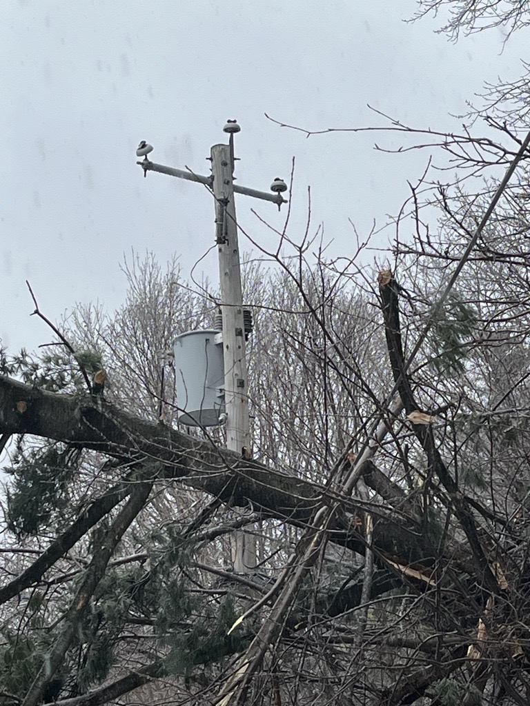 hydroquebec's tweet photo. Les précipitations de verglas des dernières heures causent présentement des #pannes dans plusieurs régions du Québec. Les pannes sont principalement causées par le poids du #verglas qui fait briser des branches et des arbres à proximité du réseau électrique et entrent en contact avec celui-ci.  

Les régions les plus touchées sont la grande région de @MTL_Ville, l'Outaouais, la Montérégie et les Laurentides.  

Plus de 500 personnes sont présentement sur le terrain afin de rétablir le service le plus rapidement possible. Comme l'événement météo est toujours en cours, d'autres pannes pourraient survenir et la situation peut encore évoluer sur le terrain. Il n'est donc malheureusement pas possible de donner de délai de rétablissement précis pour chaque lieu.

Merci de votre patience.