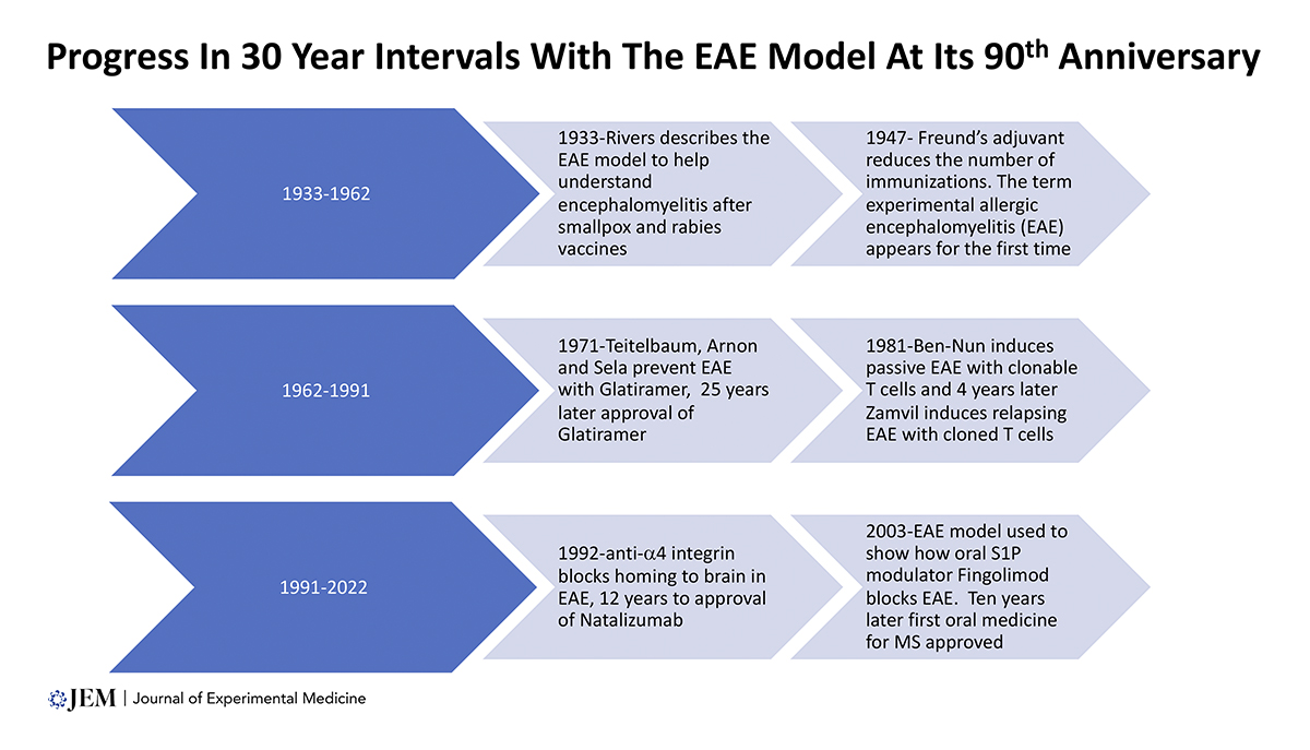 Lucie_JExpMed's tweet photo. Experimental encephalomyelitis (#EAE) is 90! 🥳 In honour of this milestone Laurence Steinman, Roberto Patarca, and William Haseltine (@WmHaseltine) have covered the history, and future, of this valuable model 👉  https://t.co/5sfMOpZq3R https://t.co/JUKIOu2zYq
