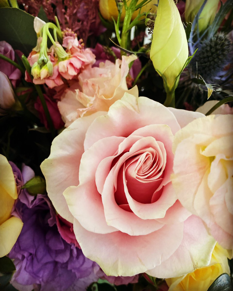 Amanda Righetti (@amandaerighetti) on Twitter photo 