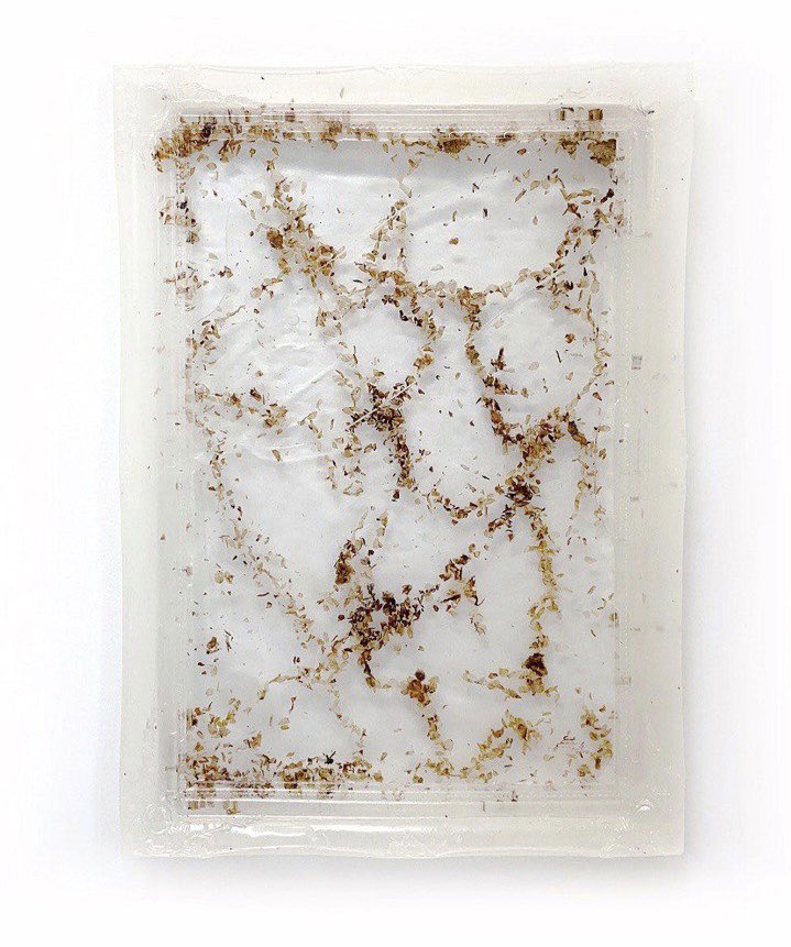 Good night, fam 🌚