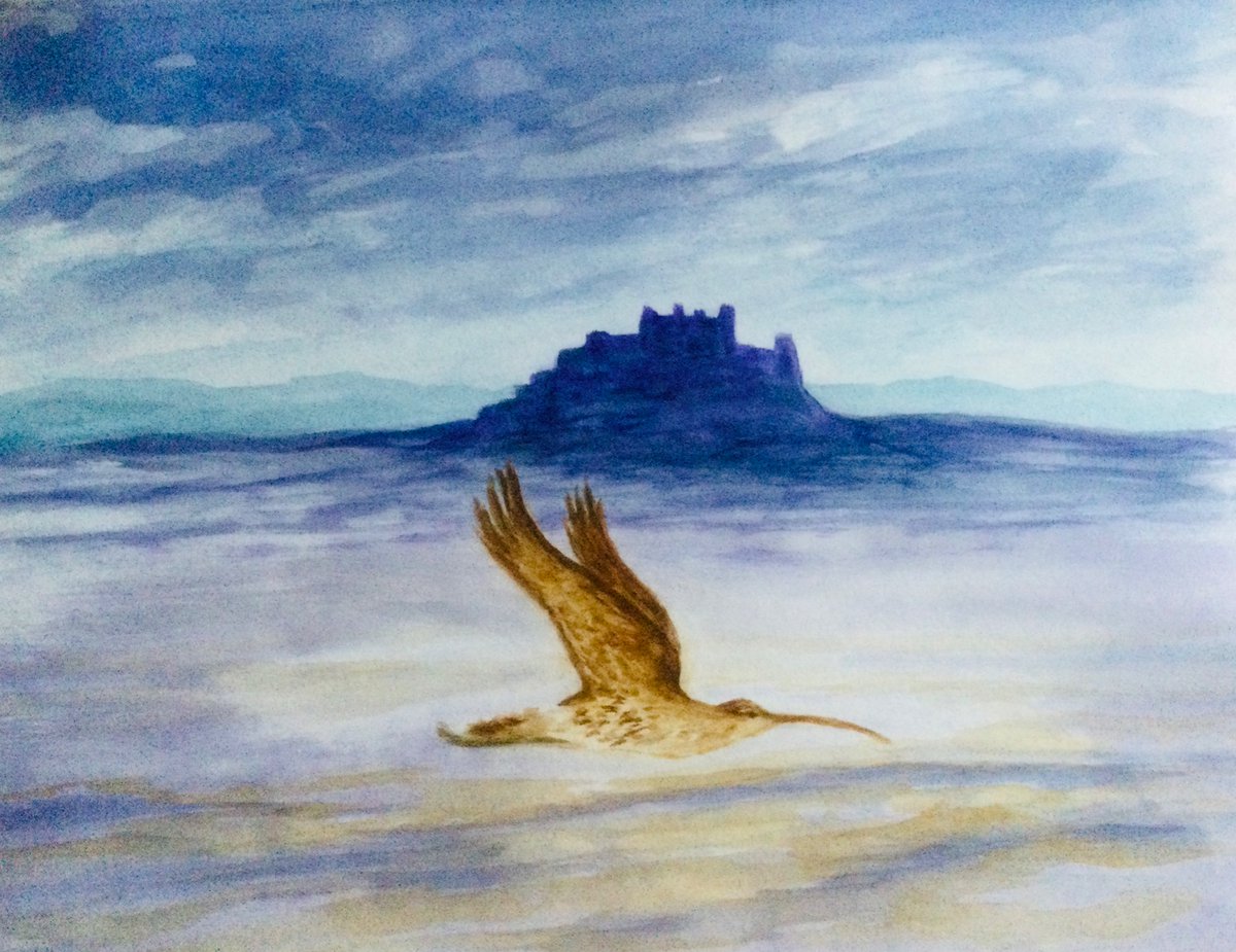 An idea popped into my head, an overly worn theme of mine I know 😳! Of 2 iconic symbols of Northumberland, #Curlew #Bamburghcastle painted here in watercolours. Have a good night all 👍