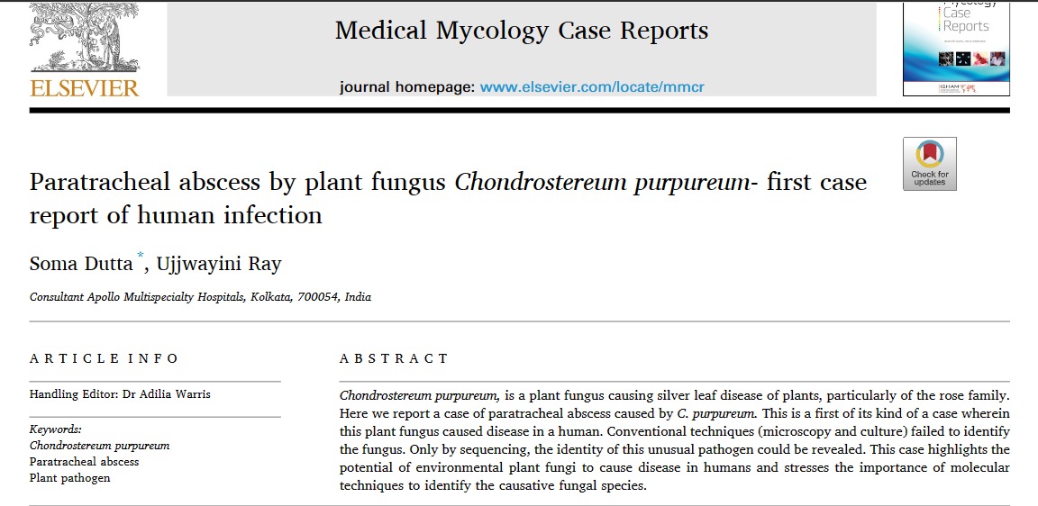 franciscus on Twitter "🔴"Medical Mycology Case Reports" publicó el