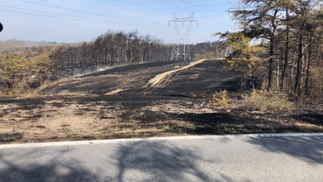 BaltCoFire's tweet photo. Here is a summary of the unprecedented wildland fire in #OwingsMills that has burned 700 acres in the #SoldiersDelight and nearby area: https://t.co/F2HvORvE4C .The photo shows fire damage in Soldier's Delight.  EA https://t.co/fCvsTNrP0I