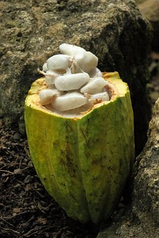 GGKitchenGadget's tweet photo. Where are the best types of chocolate found?
Traditionally, high-quality chocolates for the American markets come from:
    1. Belgium 2. Switzerland 3. Italy  4. France 5. Ecuador 
Each country's chocolate is smooth in texture, rich in flavor and has its own distinctive nuances. https://t.co/5JlJGzqdcs