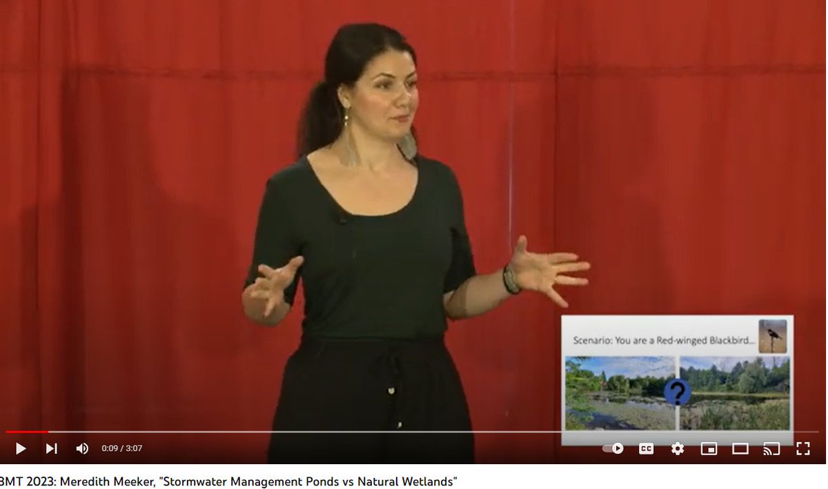 A couple of weeks ago I participated in Carleton's #3MT contest and made it to the finals. 

I had so much and definitely learned a lot from the whole process! 

Check out my talk here:

youtube.com/watch?v=QV3LuG…