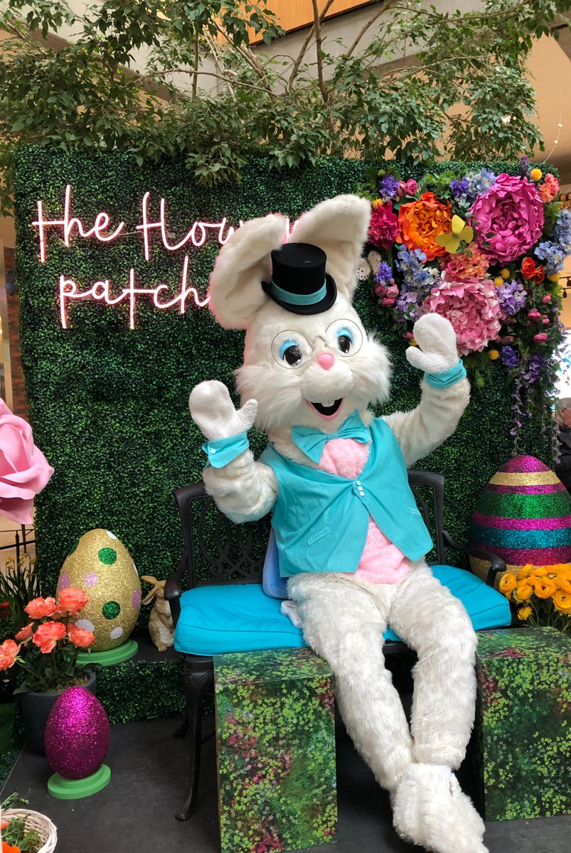 Botanical Designs tweet media