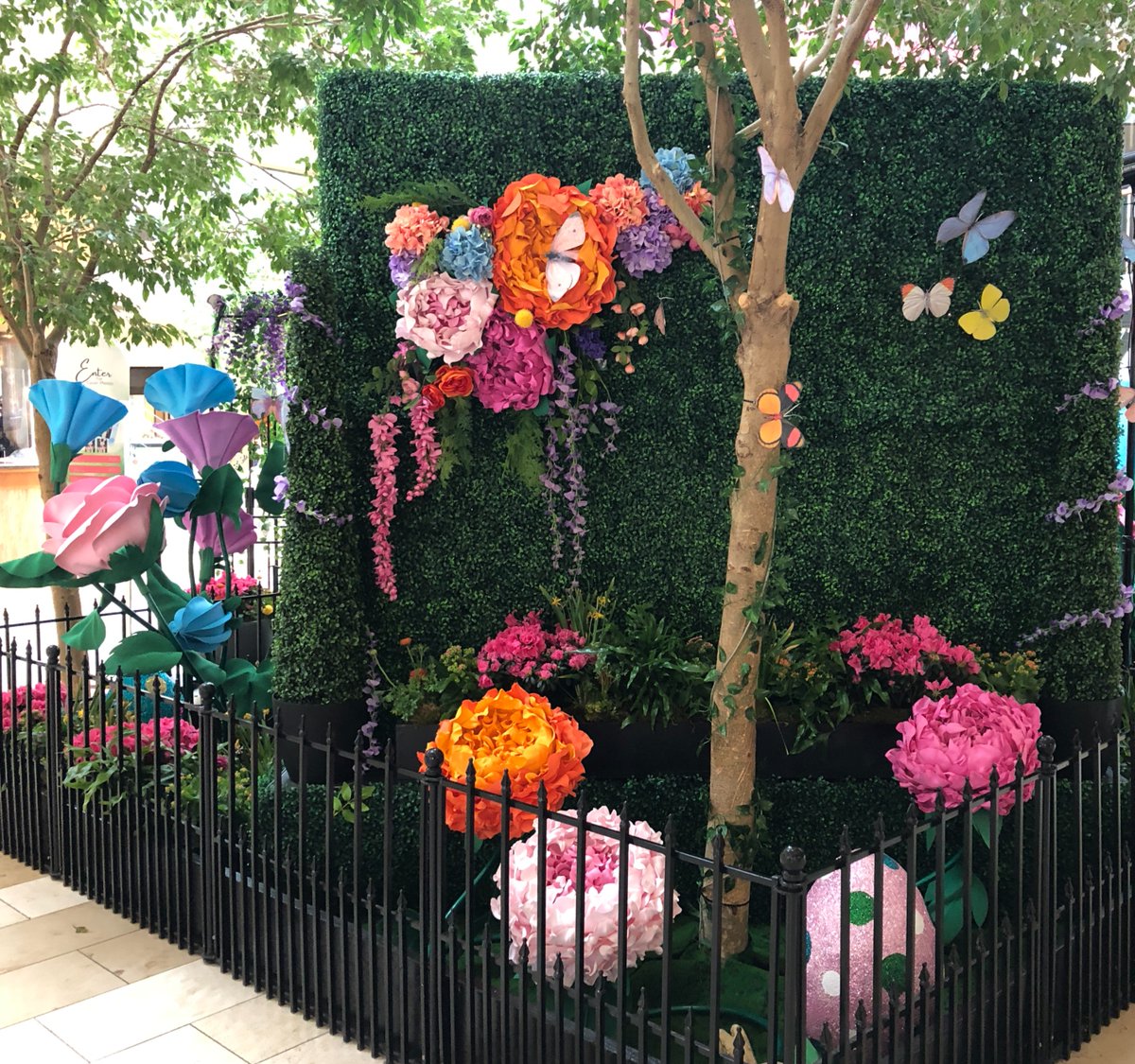 Botanical Designs tweet media