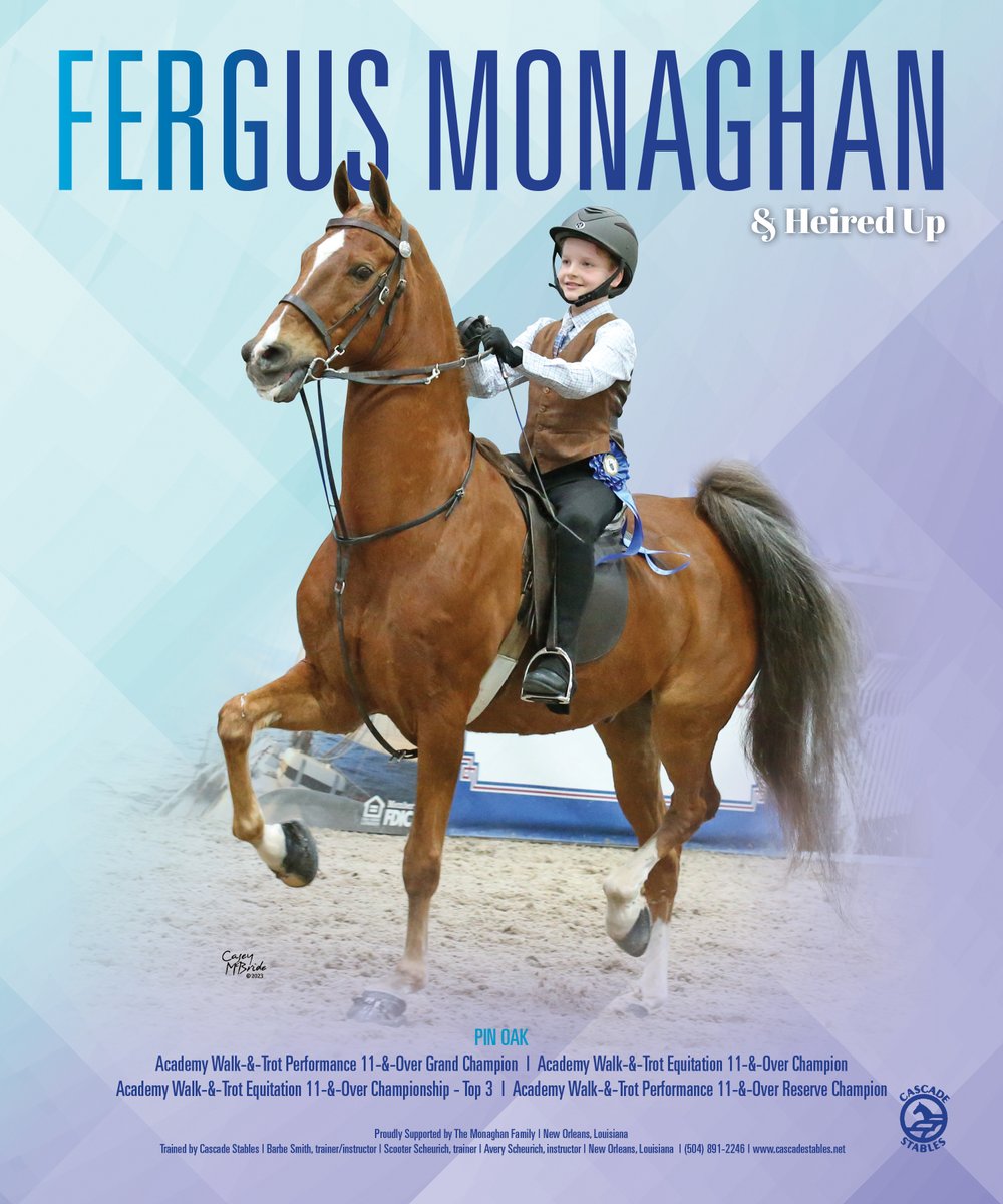 TNH1865's tweet photo. #nationalhorseman #pinoak #fergusmonaghan #cascadestables #walkandtrot #performance #equitation #saddlebred https://t.co/f7V6TyPXCS
