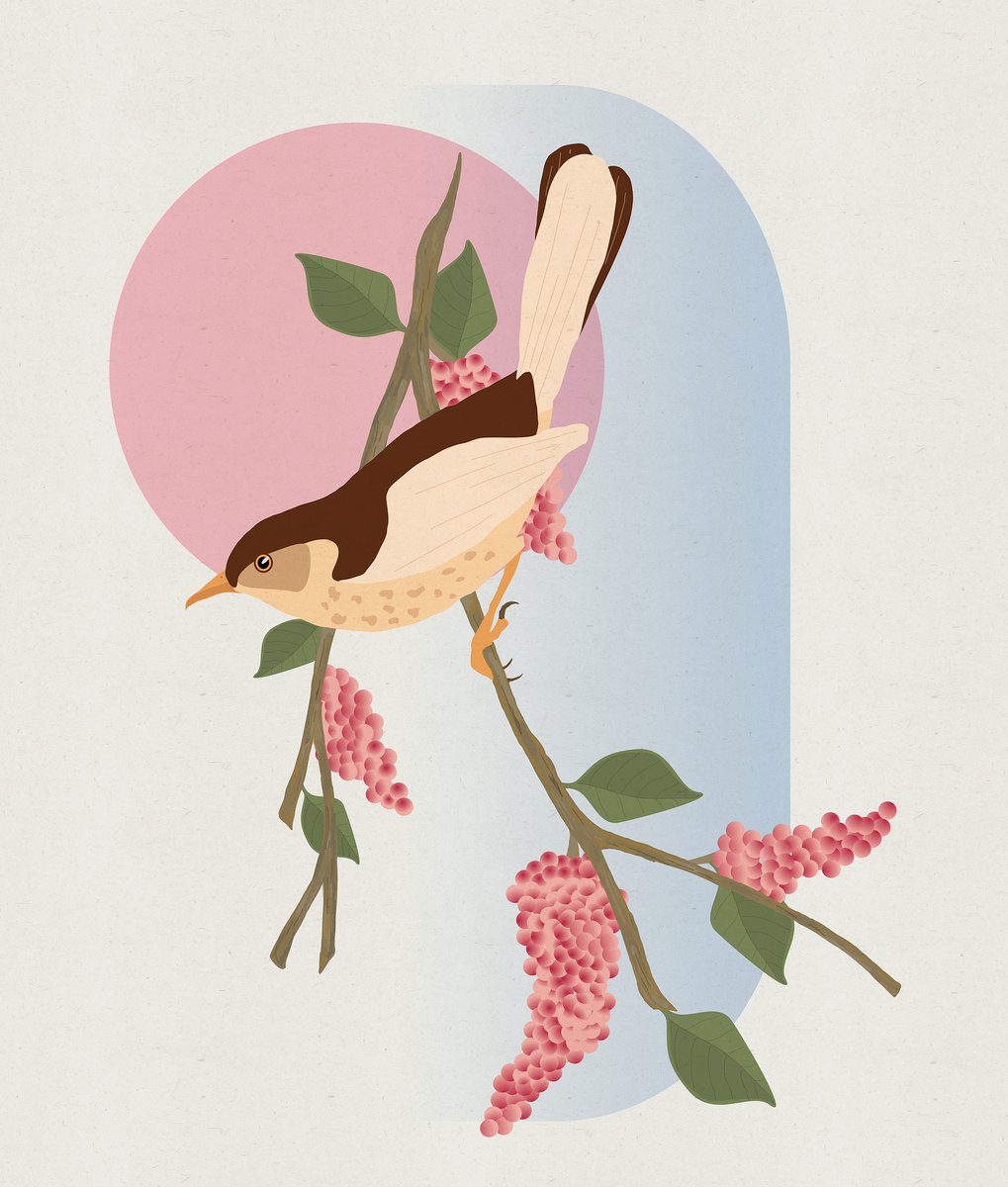 elplibrary's tweet photo. Today is #DrawAPictureOfABirdDay! Draw a bird and share it in the comments!

If you need some inspiration, watch the birds in our bird sanctuary, check out a birding kit for fun on the go, or mark your calendar to attend our upcoming Birders Club kickoff on April 15! https://t.co/VUuqG2eR6F
