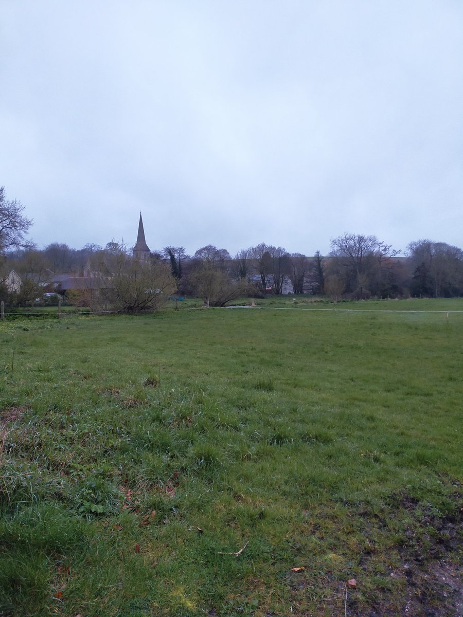 Revd_Leila's tweet photo. Lovely drizzly dog walk to Bradford Peverell for compline tonight! 4% of the village showed up. This church is a true beacon in the centre of her community.
@DioSalisbury #realrural #ruralchurch https://t.co/RNlIGcw0Sn