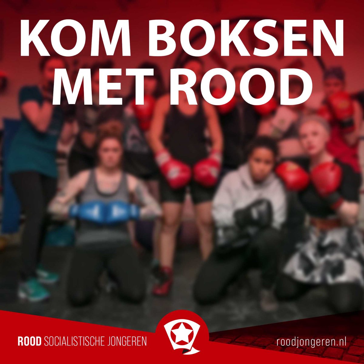 ROODGroningen's tweet photo. Beste kameraden en vrienden van de strijd voor gelijkheid en rechtvaardigheid,

Komende zaterdag om 14:00 uur organiseren ROOD Groningen en de Kameraadschappij een GRATIS kickboks clinic in Groningen. https://t.co/1V4dMi8pcH