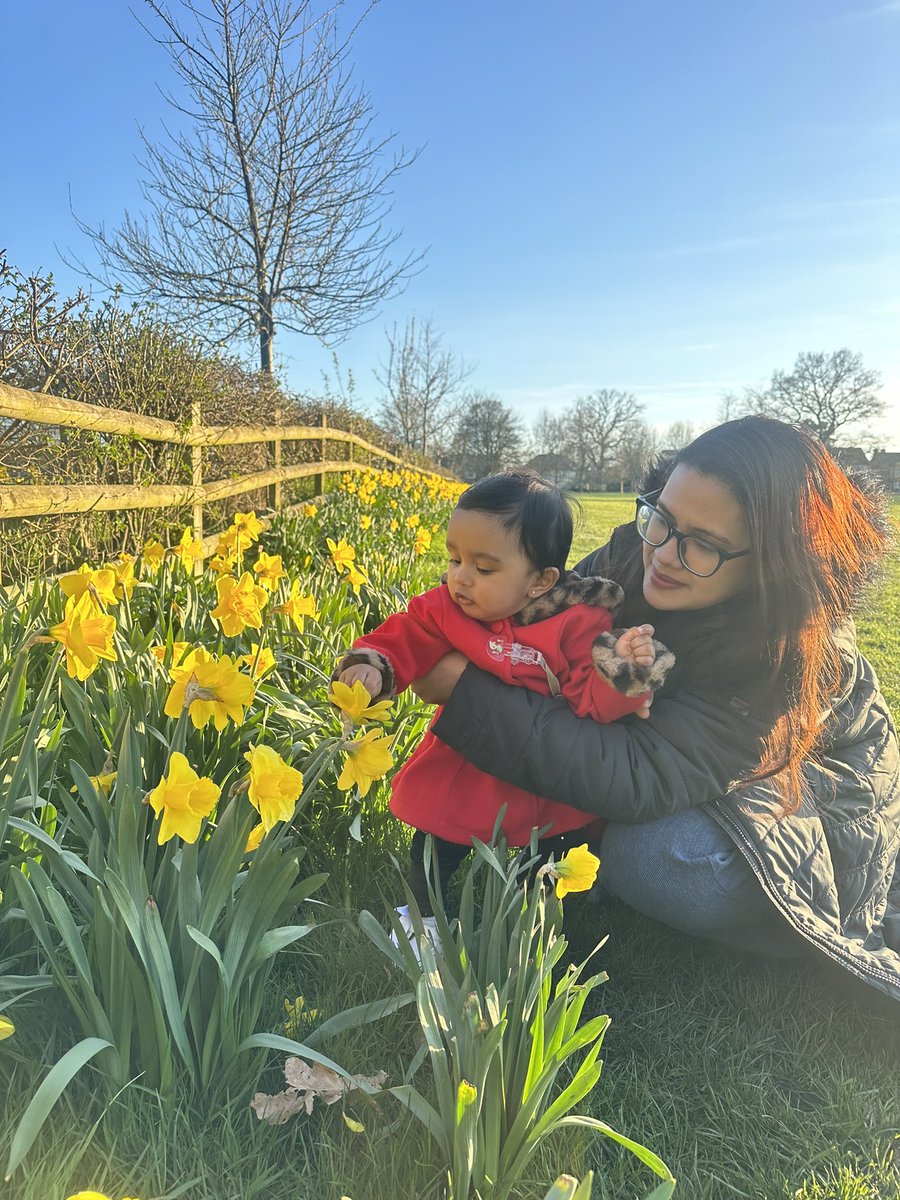 NaimNusrat's tweet photo. #daffodils https://t.co/WLsl24XUQ5