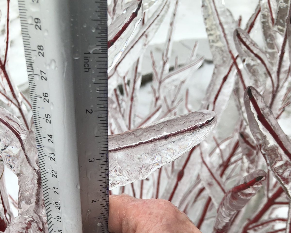 eisforelliott's tweet photo. Pics shared from the Ottawa Valley during a break in the freezing rain - about 1”-1.25” ice measured near Pakenham and 0.75” near Fitzroy Harbour #onstorm https://t.co/b821j44UeH