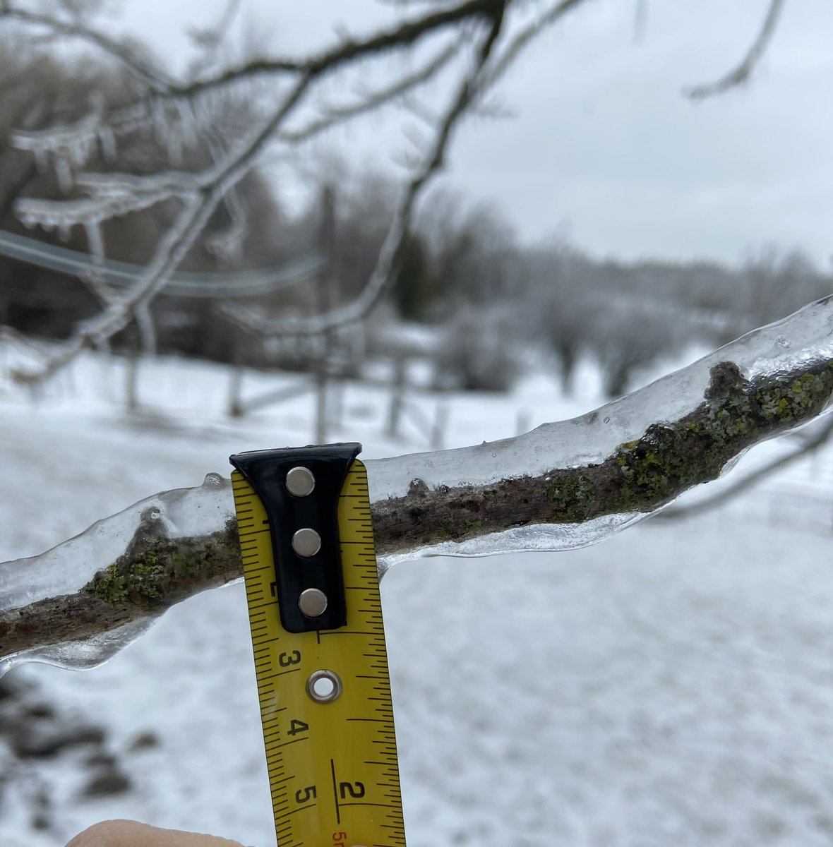 eisforelliott's tweet photo. Pics shared from the Ottawa Valley during a break in the freezing rain - about 1”-1.25” ice measured near Pakenham and 0.75” near Fitzroy Harbour #onstorm https://t.co/b821j44UeH