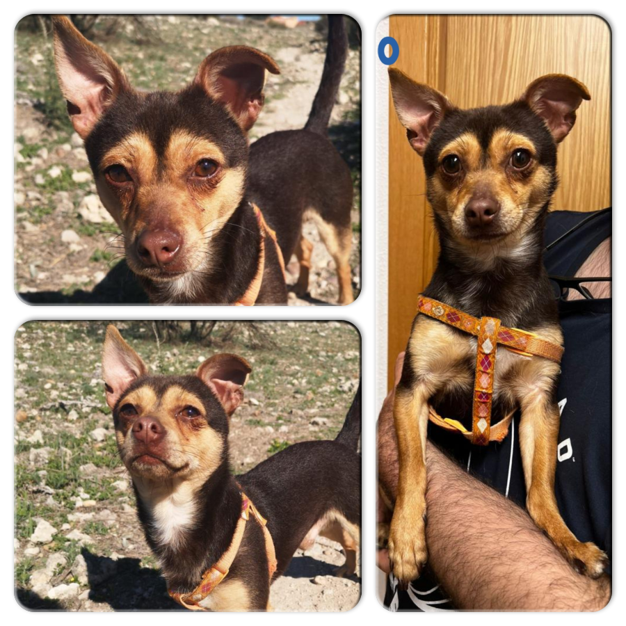 mar-educar-al-coraz-n-para-despertar-la-grandeza-on-twitter-rt