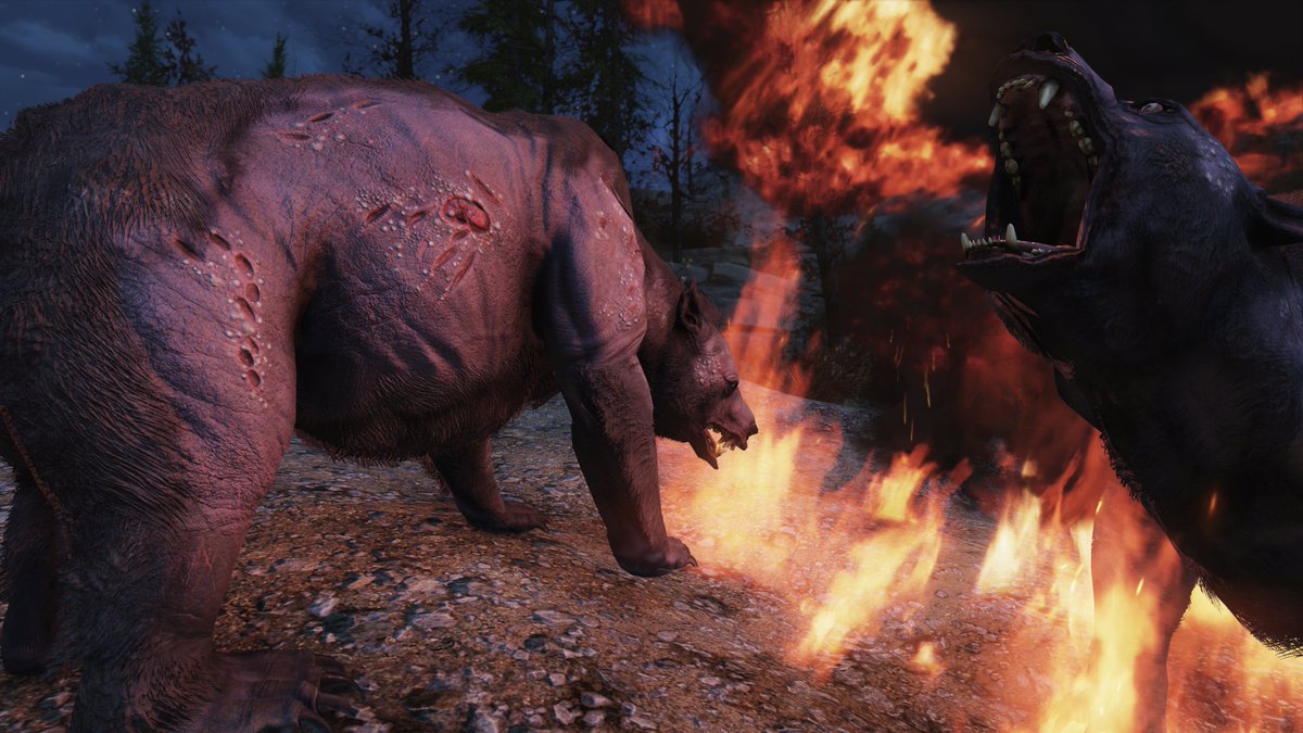#WTFWednesday
#Fallout76 #WTFFallout