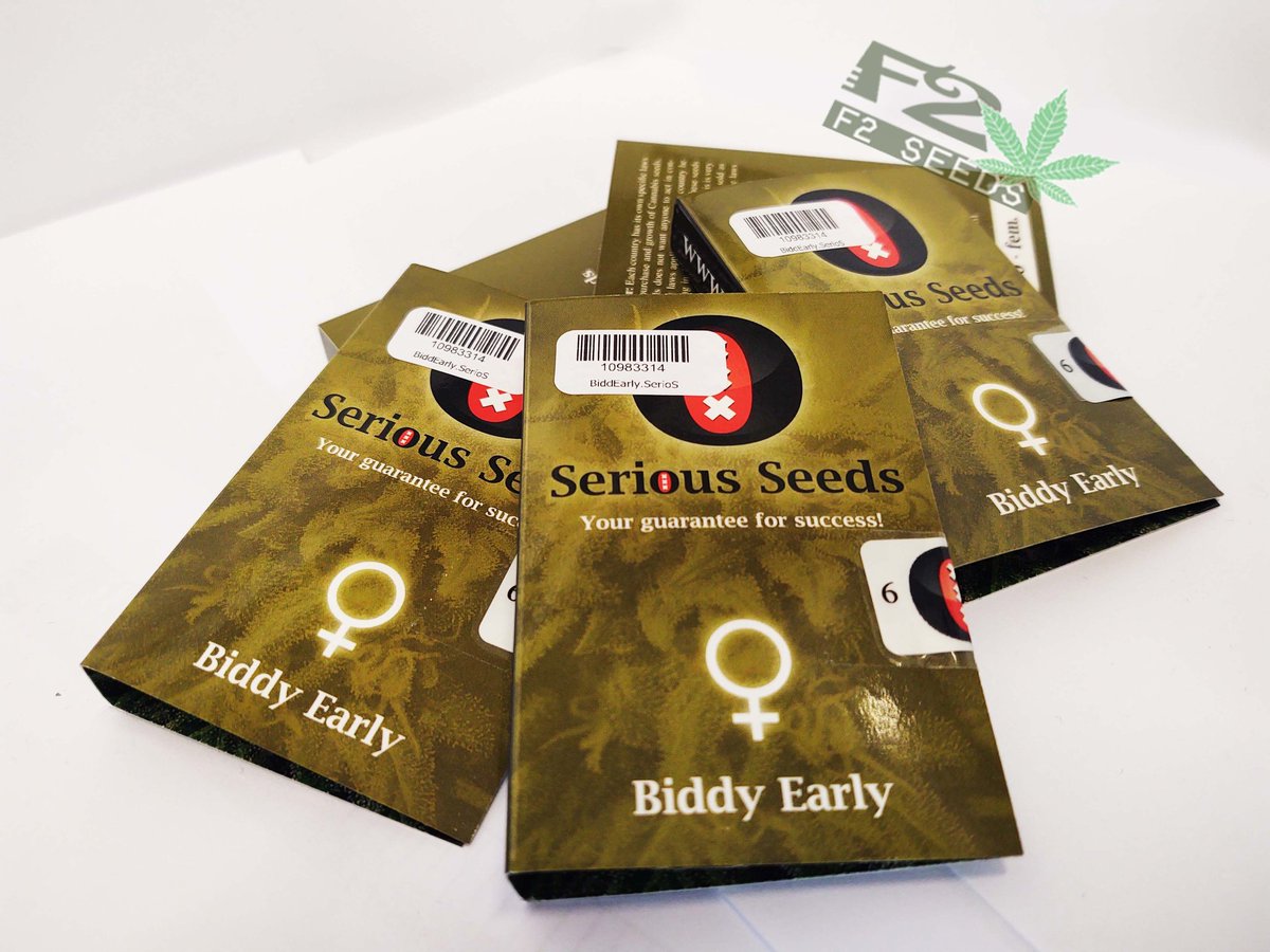 Biddy Early Feminise💚♥️ od @SeriousInfo🔝

#BiddyEarly odmiana nasion marihuany #outdoor opracowana przez Gerrita z Magus Genetics dla zimnego klimatu. 

Łatwy szczep, idealna dla niedoświadczonych tzw „model Starter”🫣
👉f2seeds.pl/pl/p/Biddy-Ear…

#SeriousSeeds #Serious #f2seeds