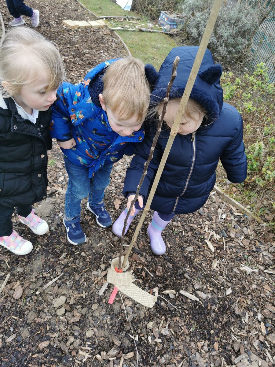 RigsideandRural's tweet photo. We have been searching for signs of spring and noticed some changes to our trees... There's some little buds appearing! We spent some time wondering how they will change as Spring progresses! #developingcuriosity @SLCEarlyLearn https://t.co/NQV1HzkIfC