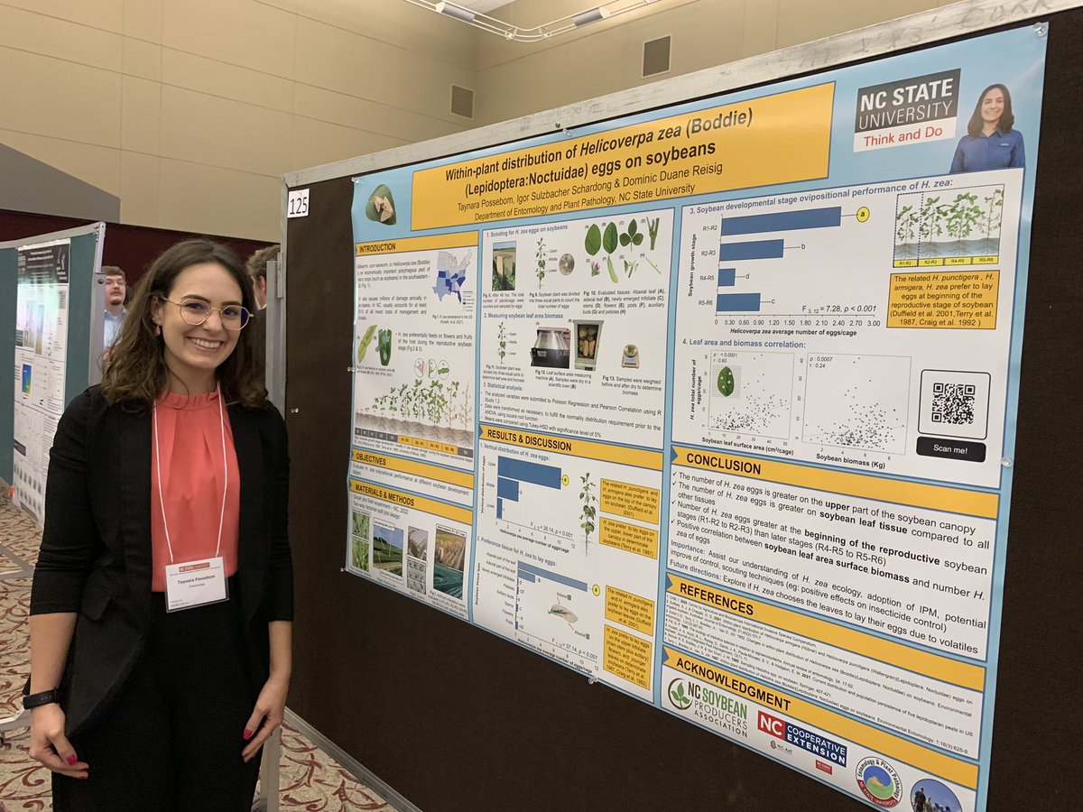 NC State Soybean Extension tweet media