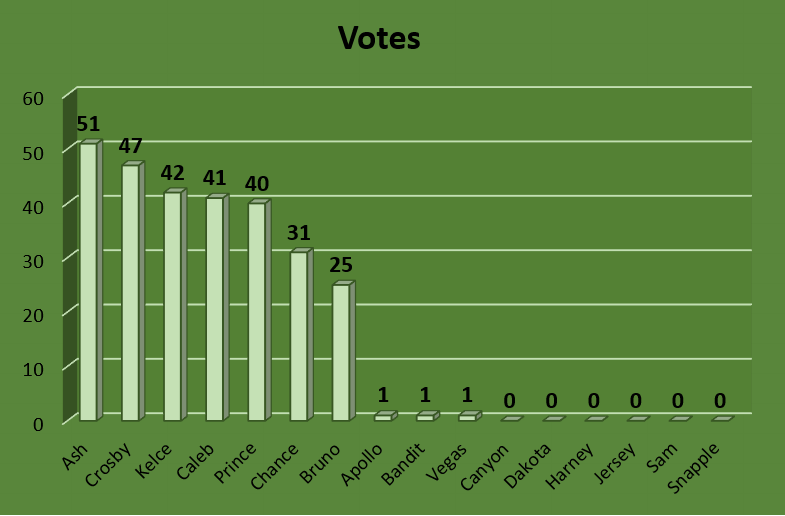 Paws_Affection's tweet photo. New pupdate! 

Ash and Crosby are still first and second but Kelce has taken a jump into third!

Keep that voting and sharing coming! Contest ends at 7pm TONIGHT! 

https://t.co/UEQ7duwZ4g

*Standings as of 4:30pm on 4/5* https://t.co/Ff4NA4M3nq