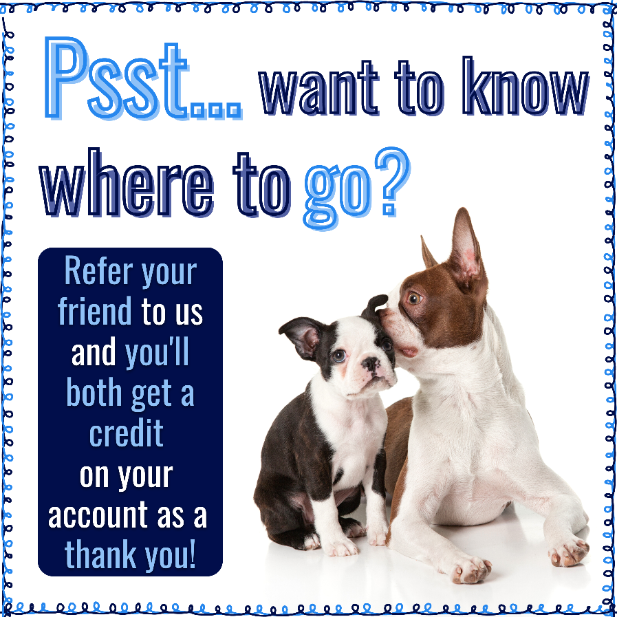 Calusa Veterinary tweet media