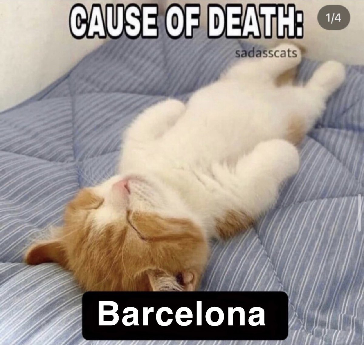 <a href="/ankarmezzi/">Zizo</a>