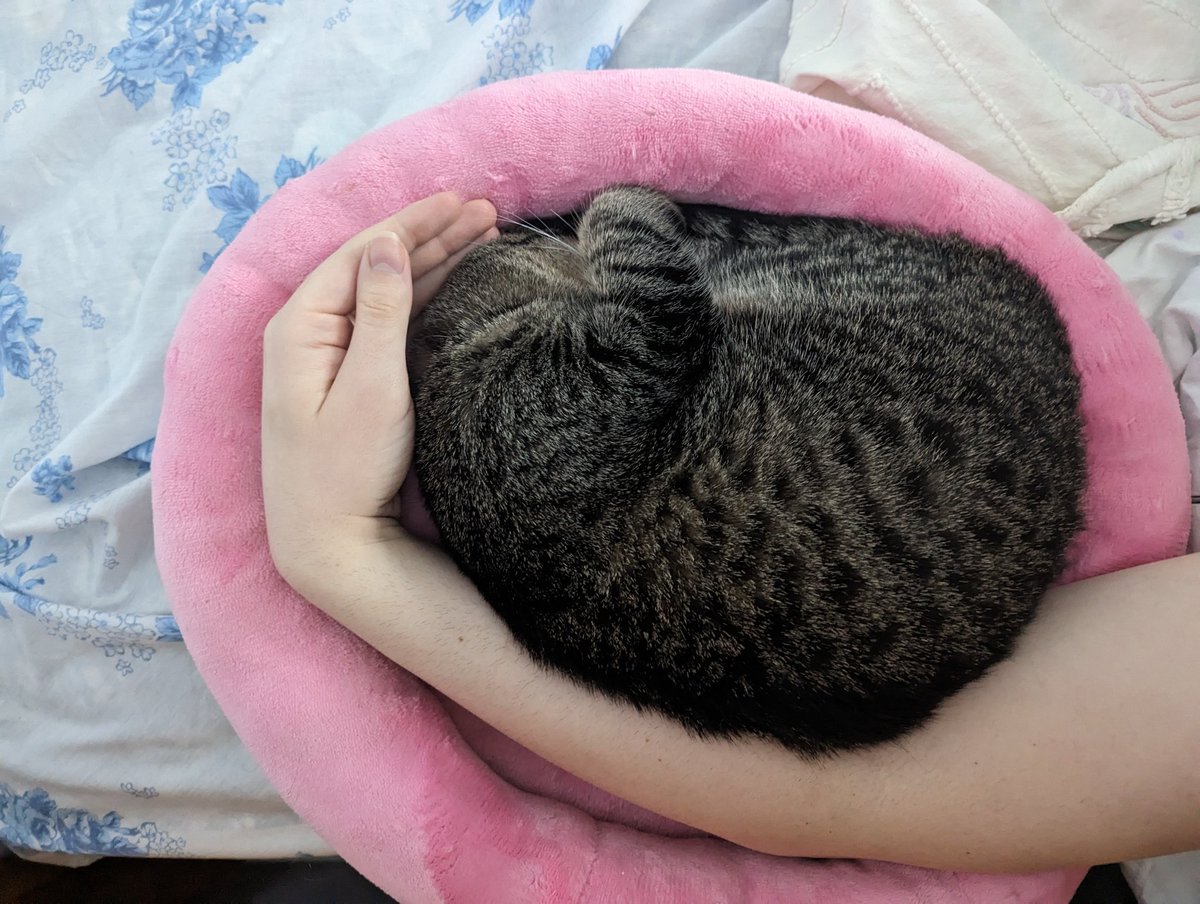 HuntQuinn's tweet photo. 💤💤 https://t.co/szBmnBV40w