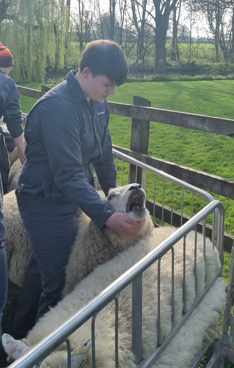 @BwaterFood tweet media