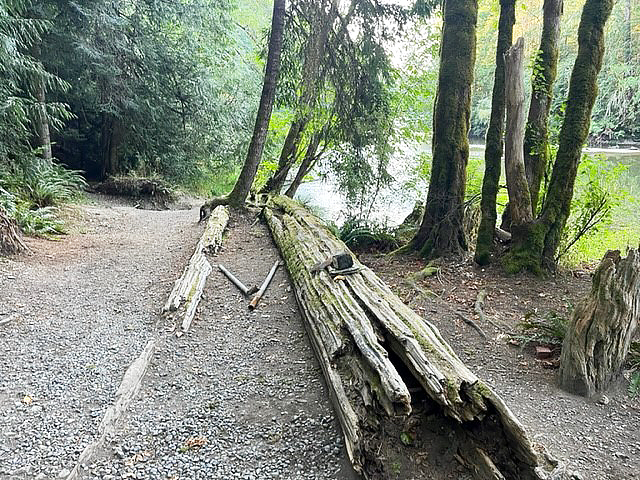 mycvrd's tweet photo. The CVRD is pleased to announce that Little Beach, a popular summer tubing destination on the Cowichan River, has recently been dedicated to the CVRD as public parkland.

Read more at Latest News: https://t.co/Is9AgUKYVw

#CVRD #CowichanValleyRegionalDistrict #CowichanValley https://t.co/Rp1i9pgODW
