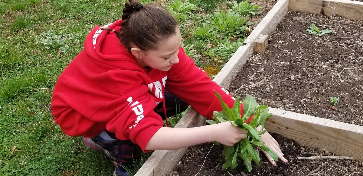 Getting our Springfield garden ready!  #palisd. #pantherpride