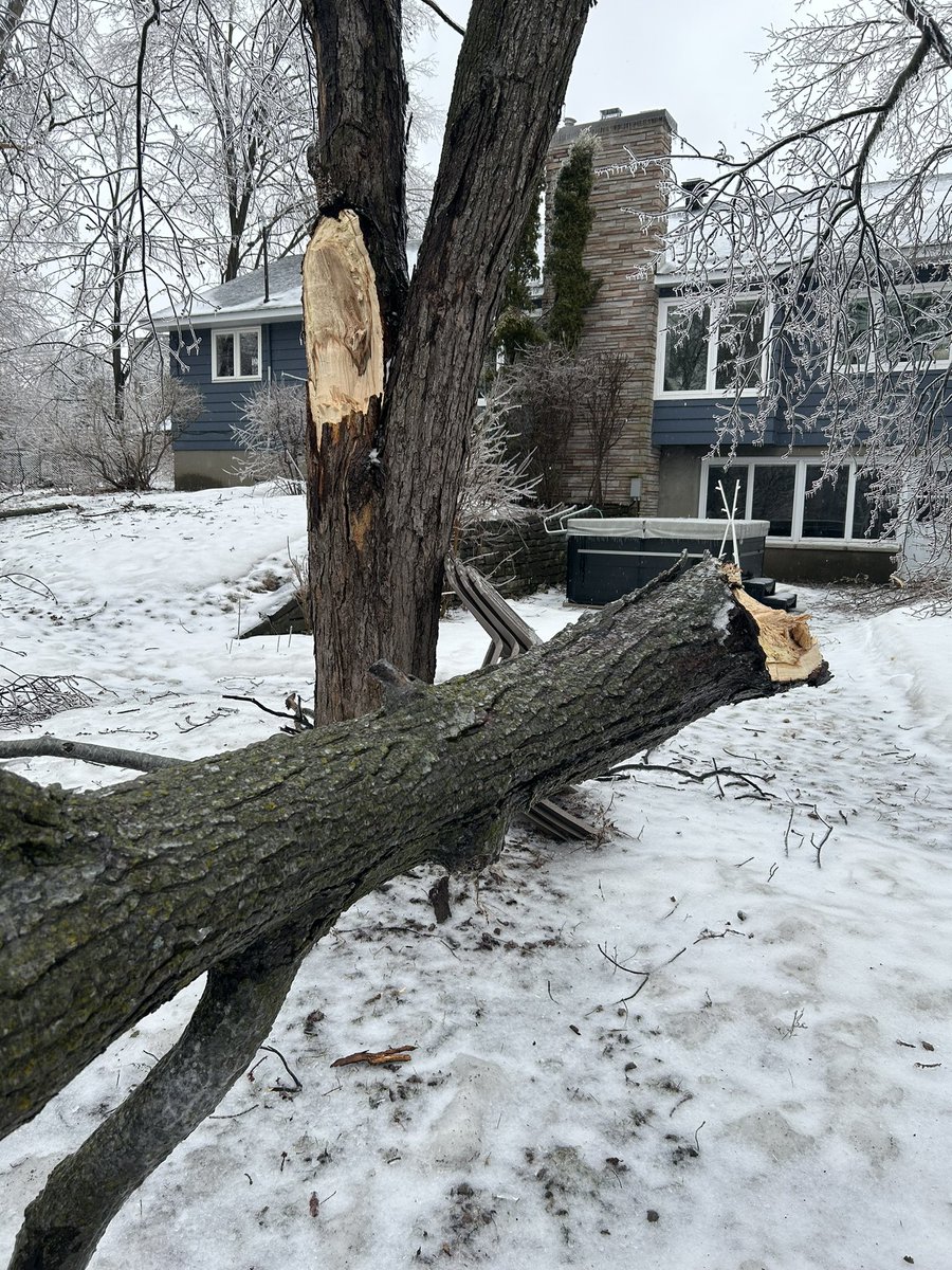 #icestormYOW Yucky sound when something this big falls. So glad it fell away from the house.