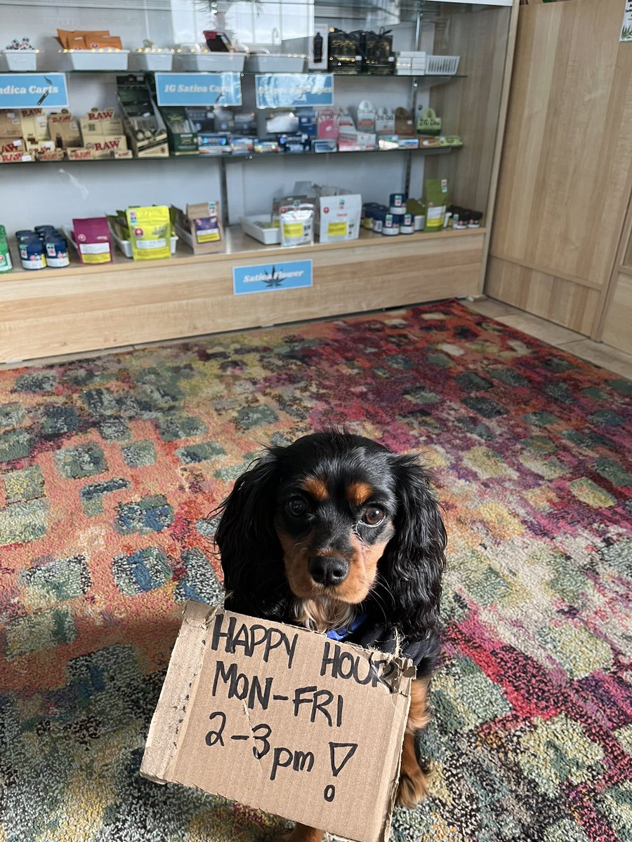 Happy Hour is about to commence! 2-3pm, save on the entire store!!