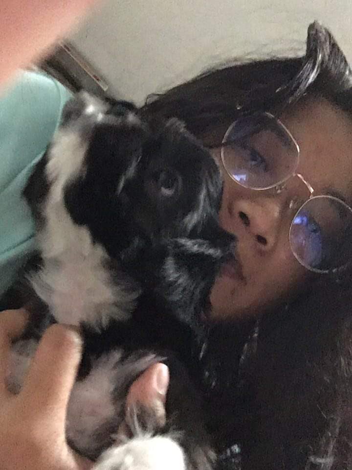 sroselada18's tweet image. My brother left their dog and I'm stepping in to dog-sit. My room's a mess now; I guess that's how it is with toddlers. Her poops are small and a bit brittle but I'm quite surprised that she pees A LOT. Also, I'm figuring out how much screen time she's allowed 🥲#momprobs