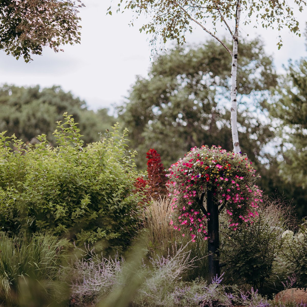 FioreTrees's tweet image. If having your #FioreTree front and center doesn't suit you, adding one to your property line can make for an amazing pop of color and an excellent piece that will hit the eye-line when looking off to the distance. #ItalianArt #ItalianMasterpieces #ArtisticItaly #Fiore