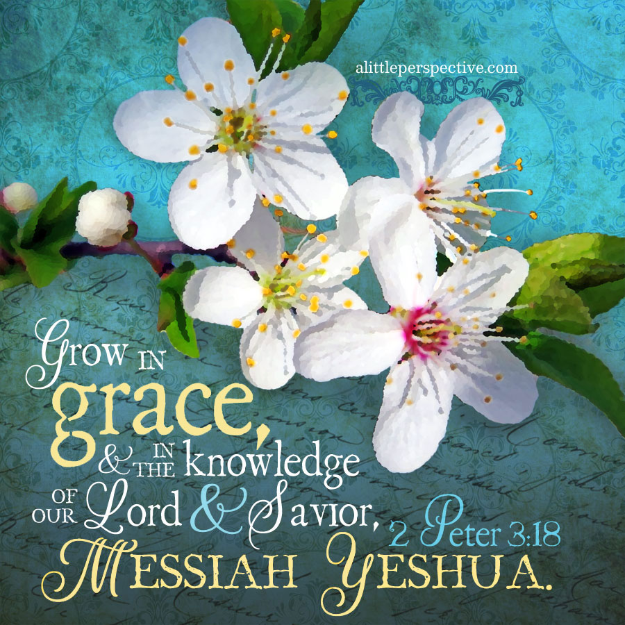 Christine982Mil's tweet image. Grow in grace, and in the knowledge of our Lord and Savior, Messiah Yeshua. 2 #Peter 3:18 #PetersLetters
2 Peter 3 #ChiasticStructure:
alittleperspective.com/2-peter-3/ ❤️
